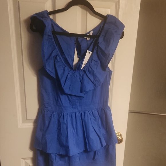Blue Ruffle Sleeveless Dress - Picture 2 of 5